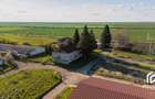De vanzare Complex Zootehnic Suine Jud. Arad SU 15.30ha, Ferma, Grajd - 8