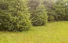 Vand teren intravilan unicat 1200 mp Glina - 2