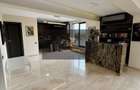 Penthouse Nufarul Oradea - 20
