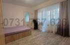 Diham- Bd. Basarabia, intrare stradala, mobilata complet - 4