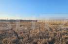 Teren intravilan 1677 mp în Băcia