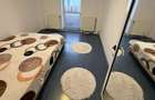 Apartament cu 3 camere decomandat în Exterior Sud - 4