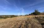 Teren de 50.000mp, priveliste panoramica spre munte si lac, Hunedoara