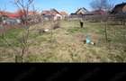 casa in centrul sat Tarian, 13 km din centru oradea