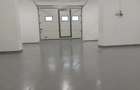 Spatiu Comercial + Birou Garsoniera