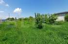 Teren de vanzare intravilan, 72 ari, zona Salcea - 5