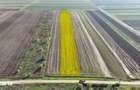 Teren 10.000 mp, parcelabil, ideal ansamblu case P+1 | Gulia - Dambovi