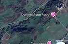 Teren de 10000 mp, în Bradu - 1