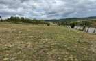 Teren intravilan la strada principala DN1 ideal pentru casa sau afacere - 1