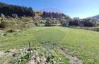 Casa in Vatra Dornei, zona Argestru, cu 11.541m.p. TEREN INTRAVILAN - 17