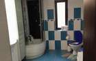 Vila P+1 de 260 mp in Draganesti-Olt ideala pentru familie - 15