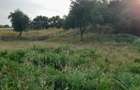 Vand teren intravilan - 3