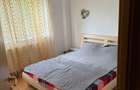Apartament 2 camere, Parter, Banat, Renovat - 6