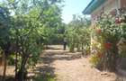 Casa de vanzare intr-o zona de poveste Francesti, comuna Pestisani, judetul Gorj - 7