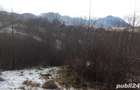 Vand teren Bran - Sohodol - 4