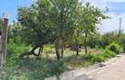 Teren intravilan 2440 m2 - 5