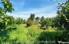 BUDESTI - CASA LA 15 MINUTE DE ORAS TEREN 1233 MP - Budesti (Diculesti) (Valcea)