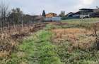 Casa Plopi 200000 euro negociabil - 4
