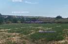 Vand teren Tuzla, intravilan, 2500 mp, deschidere 45m - 4
