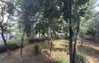 Apartament 2 camere, 51 mp, zona Vest - 1