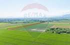 Teren de vanzare 11.500 mp | Ghimbav | Strada Aeroportului - 2