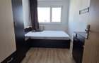 Apartament 3 camere Dristor (Camil Ressu) - 2