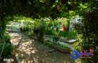 ID 6710 EXCLUSIVITATE Casa de vanzare -Com. Niculitel - 14