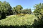 5 Camere Tunari Teleorman | Centrala termica | Gradina cu pomi fructif - 8