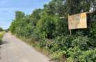 3 Terenuri de construit | 767 mp | PUZ | Str. Cheii | Cheile Turenilor - 6