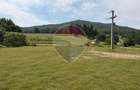 Cladire comerciala cu teren 10.000 mp | DN 13 - Hanul Bogatii-Maierus - 4