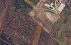 Teren extravilan 6.500 mp Raducesti, Topliceni | 4 km de Ramnicu Sarat