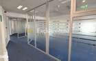 Spa?iu Birouri Ultracentral Pite?ti 265 mp clasa A - 11