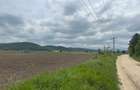 Vand teren extravilan 18.500 mp in Selimbar / jud. Sibiu - 5