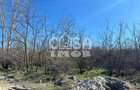 Teren extravilan padure - 6.000 mp, vizavi de Insula Crapilor, Ionest - 4