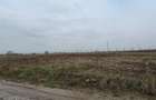 Teren intravilan, oportunitate de investitie, 5700mp, Radauti - 2
