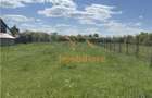 Teren Chisirid | 1.226 Mp | Toate Utilitatile - 6