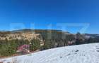 Teren 2 ha, cu padure proprie si panorama spre munti, Arieseni - 7