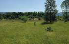 Teren extravilan Pietrosani, Arges - 6