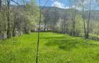Vand teren Valea Doftanei - 1