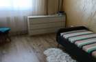 Apartament cu 3 camere decomandat în Olteni - 5