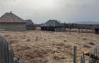 Teren intravilan I 2433 MP I Dealu Negru - 4