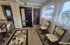 Casa cu 2 camere, 65 mp, teren 2910 mp, in Viile Satu Mare - 14