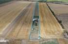 TEREN 10.000 MP VLADIMIRESCU / ACCES FOARTE BUN - 4