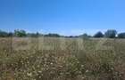 Teren de vanzare, 3000 mp, zona Dumbrava - 3