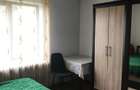 Vila P+E cu teren 2559 mp, vie, garaj, izvor - Borosteni, Gorj - 8