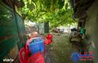 ID 6761 Exclusivitate-Casa cu teren *Str. Liberta?ii -Tulcea - 14