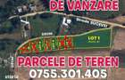 Teren Intravilan 700m2 SIRET - 1