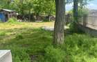 Casa de vanzare in mirificul sat cu balta de pescuit Conacul - 12