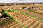 RECO Teren industrial in Nojorid la doar 6km de Oradea - 3