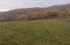 Teren l 2900 MP l Popesti | View superb - 3